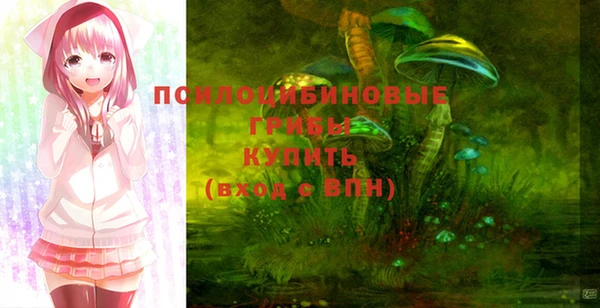 метадон Кукмор