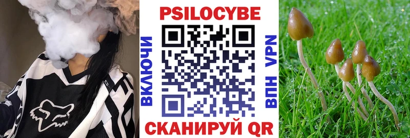 где можно купить наркотик  Тула  Галлюциногенные грибы Magic Shrooms 