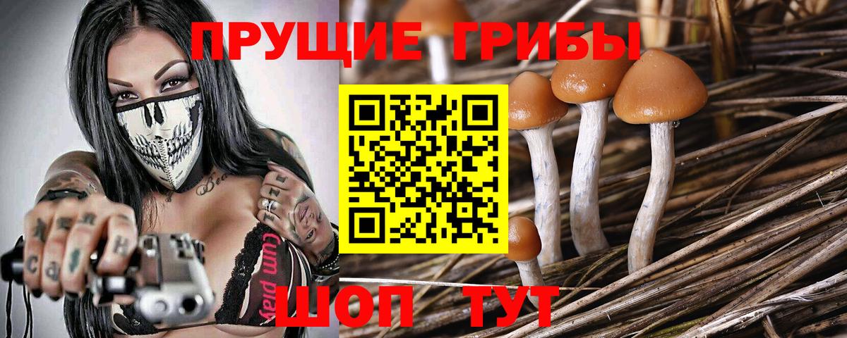 Галлюциногенные грибы мухоморы  Псилоцибиновые грибы прущие грибы  Тула  Вход с VPN 